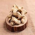 High quality natural New Crop Dehydrated Dried Ginger